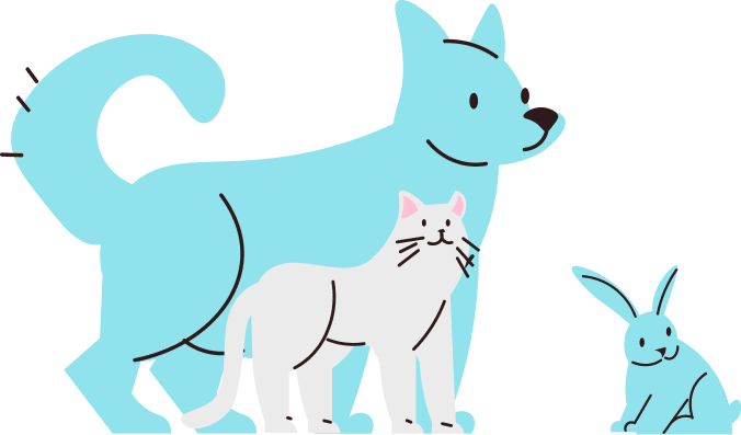 Pet Hotels & Facilities